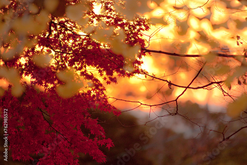 sunset in the autumn