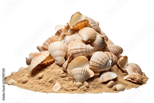 A Pile of Seashells on a White Background. On a White or Clear Surface PNG Transparent Background..
