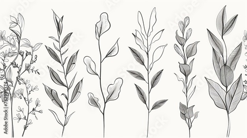 Modern illustration illustration of botanical wall art. Line drawing of foliage in an abstract shape. Abstract Plant Art design for print, cover, wallpaper, minimal and natural wall art.