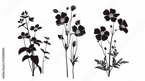 Black and white modern silhouettes of flowers.