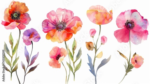Set of beautiful watercolor flowers on a white background © Mark