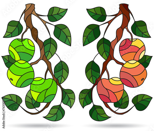 Set of illustrations of stained glass Windows with tree branches, Apple tree branch with ripe fruit and leaves, dark contours on white background