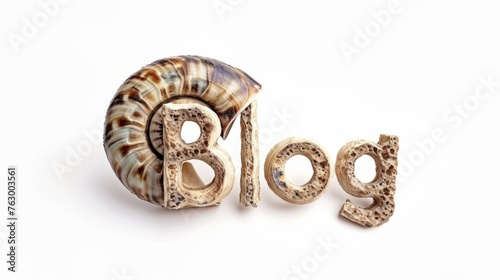 The word Blog created in Nautilus Shell Letters.