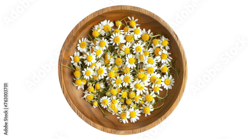 wooden plate with dry chamomile and one fresh flower, on white isolated background