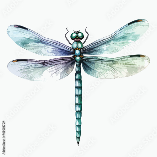 Dragonfly Clipart clipart isolated on white background