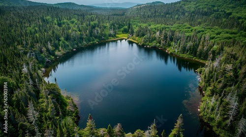 A remote wilderness lake surrounded by dense forest