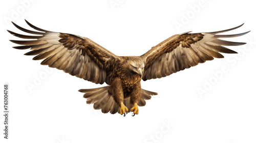 eagle in flight isolated on transparent background