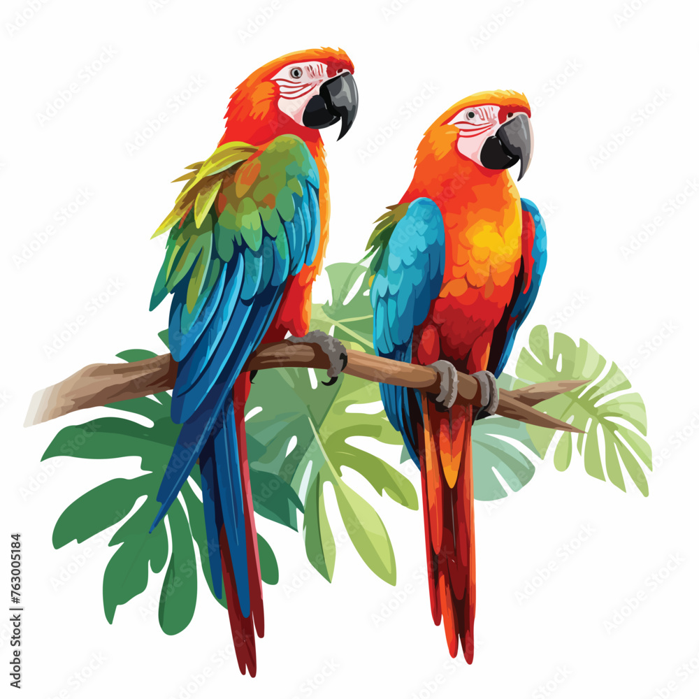 Exotic Parrots Clipart clipart isolated on white background