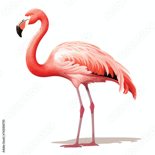 Flamingo single clipart clipart isolated on white background