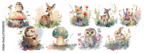 watercolor, illustration, woodland, animals, deer, 