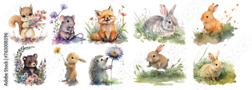 Watercolor Illustration Safari Animal banner. Cute characters isolated on white background, vector illustration set