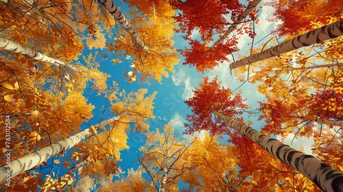 Upward view of vibrant autumn leaves against a clear sky. nature's color palette in fall. perfect for seasonal backgrounds or nature themes. AI