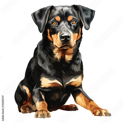 Fototapeta Naklejka Na Ścianę i Meble -  German Shephered Dog Clipart