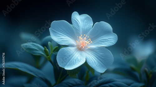 A close-up of a blooming night jasmine its delicate petals glowing softly in the moonlight exuding a sweet fragrance.