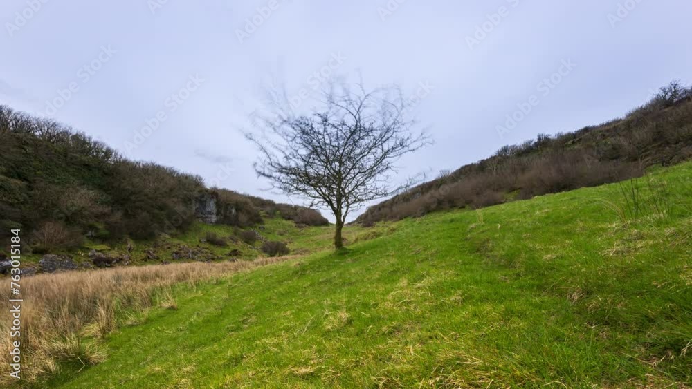 Timelapse of rural nature farmland with single tree in grass field during cloudy day viewed from Carrowkeel in county Sligo in Ireland. Timelapse of rural nature farmland with single tree in grass field during cloudy day viewed from Carrowkeel in county Sligo in Ireland.