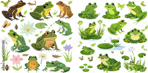 Cute amphibian mascots, frogspawn, tadpoles, green frogs, water lilies, summer pond and insects vector illustration set