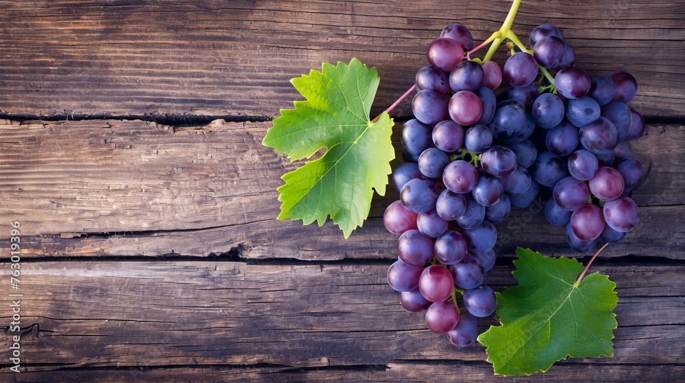 Blur vineyard and grape background. stock photo Blur vineyard and grape background. stock photo