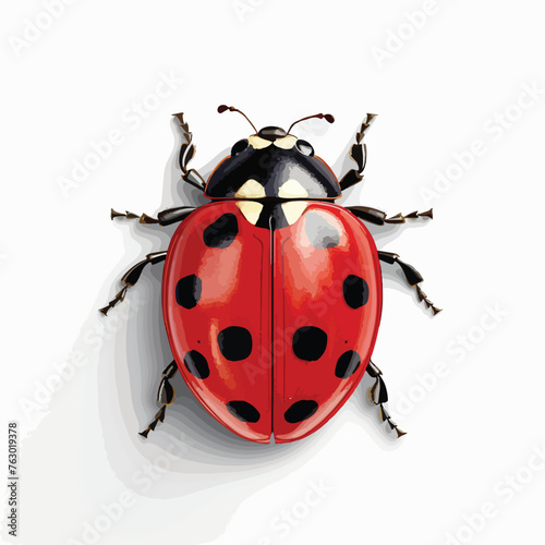 Ladybug single clipart © Noman