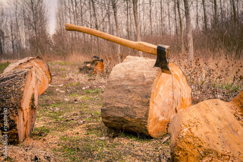 Axe stabbed in fresh sawn trunk, logs of wood on ground, ready for transport from forest