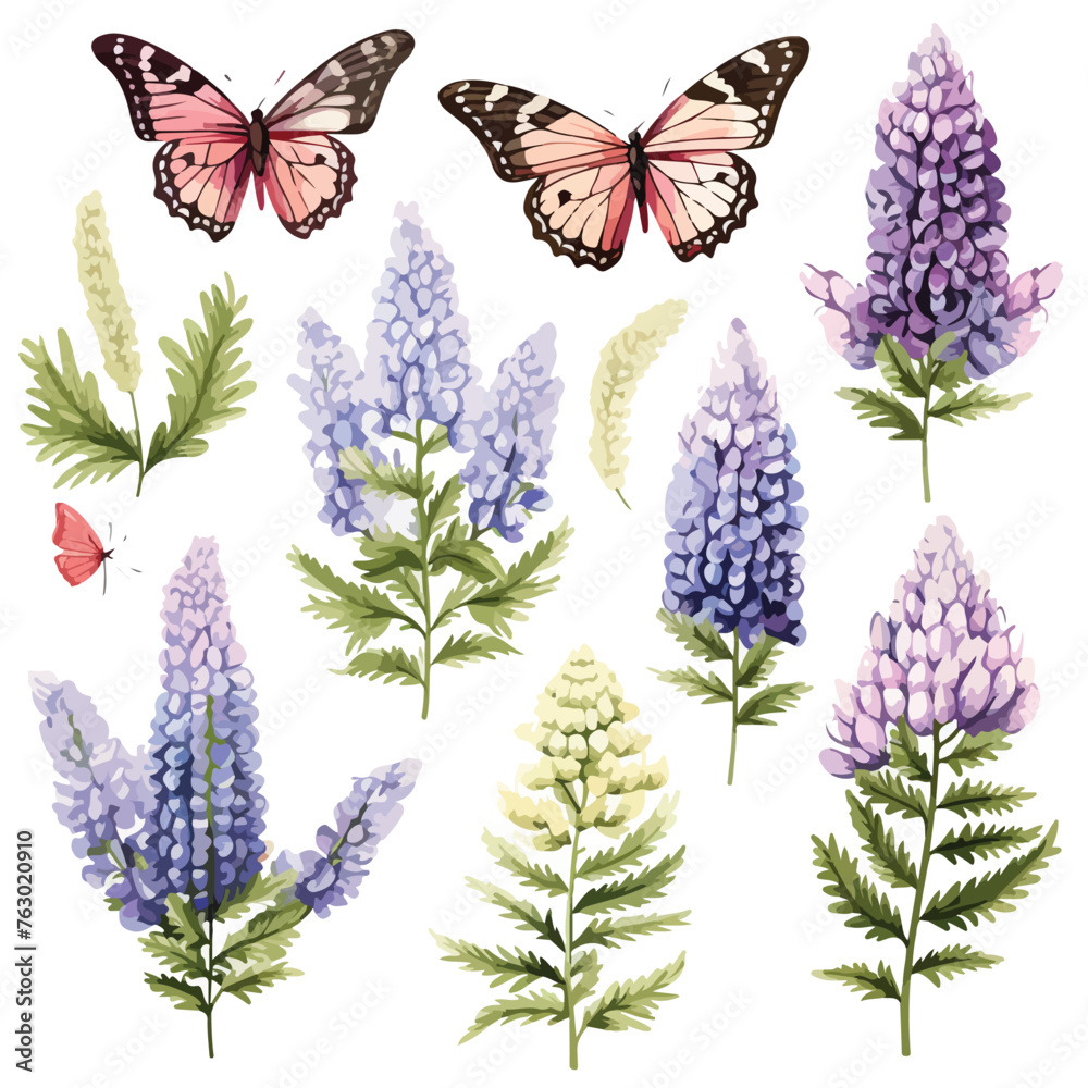Lupin Butterflies Clipart clipart isolated on white background