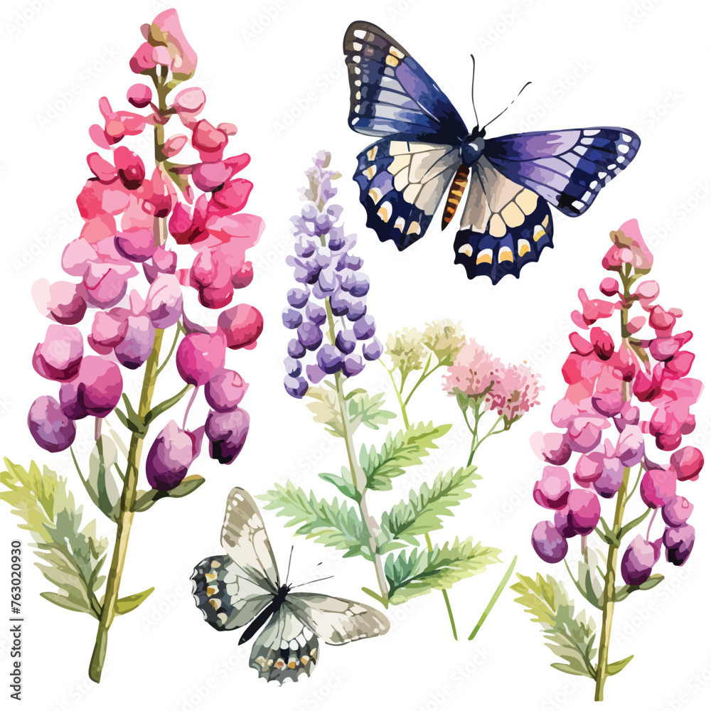 Lupin Butterflies Clipart clipart isolated on white background