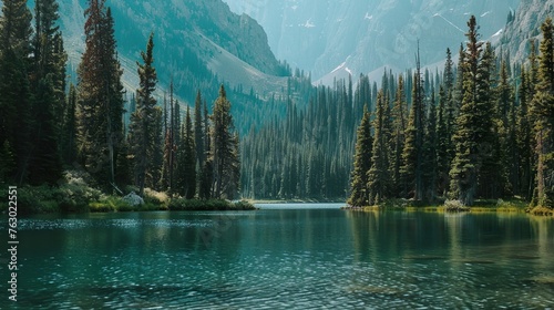 A secluded mountain lake surrounded by towering pine trees photo