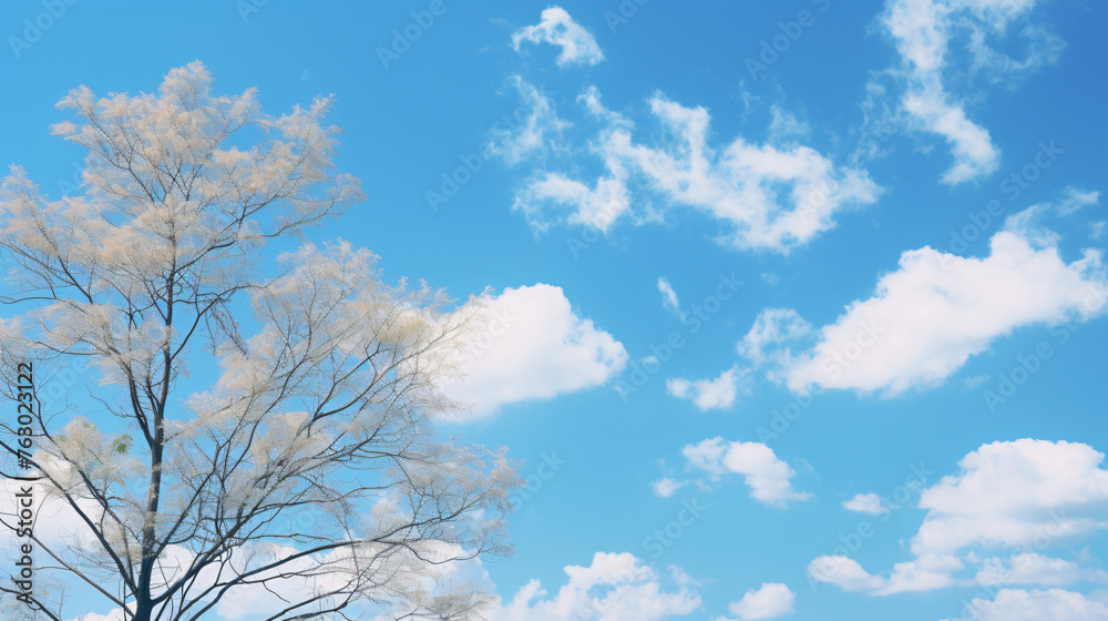Clear blue sky white clouds and trees