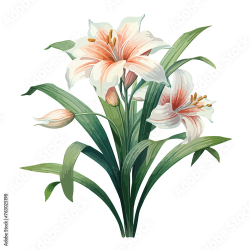 Palm Lily clipart clipart isolated on white background