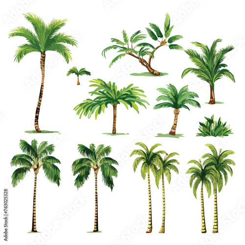 Palm Trees Clipart clipart isolated on white background