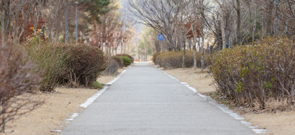 Obraz premium A bicycle path in a quiet park.