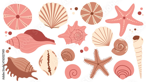 Sea shells set, mollusks, starfish, flat illustration of seashells collection isolated on white for stickers