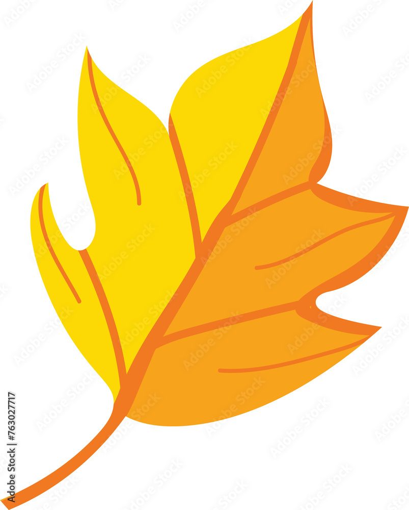 autumn leaves on a white background. autumn leaves on a white background.