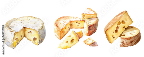 Watercolor cheese set. Camembert gouda, blue, edammer, maasdam, brie, mozzarella, parmesan, roquefort. Old cheese. Vector illustration

