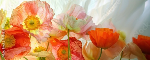 light pink and orange poppies in the style of watercolor on a white background, with vibrant colors and a soft pastel color palette