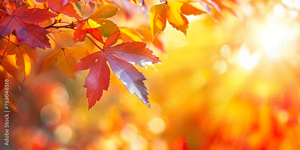 Season of beautiful autumn leaves Season of beautiful autumn leaves