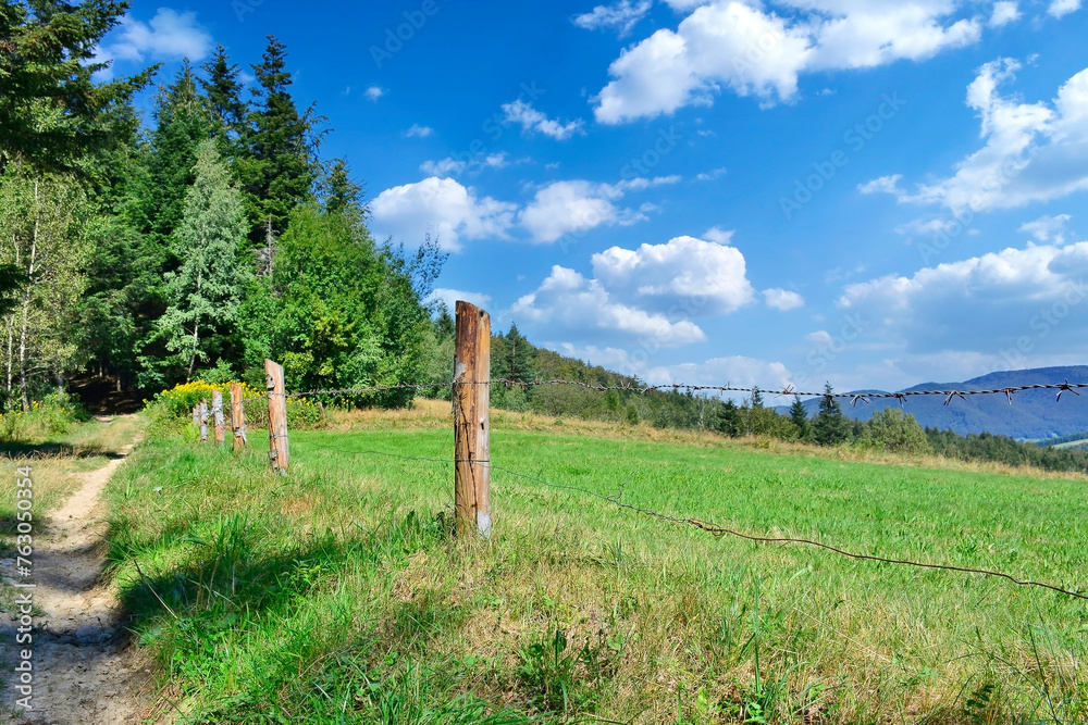 Summer trees and meadows in a beautiful mountain landscape with barbed wire fence.