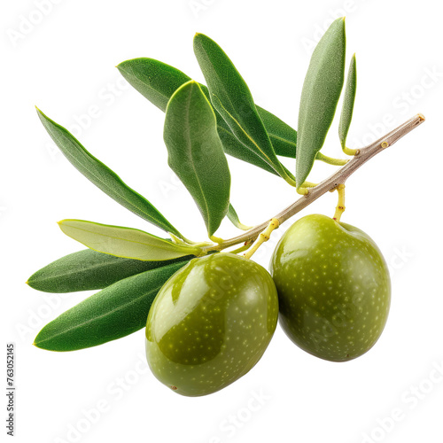 green olives on branch