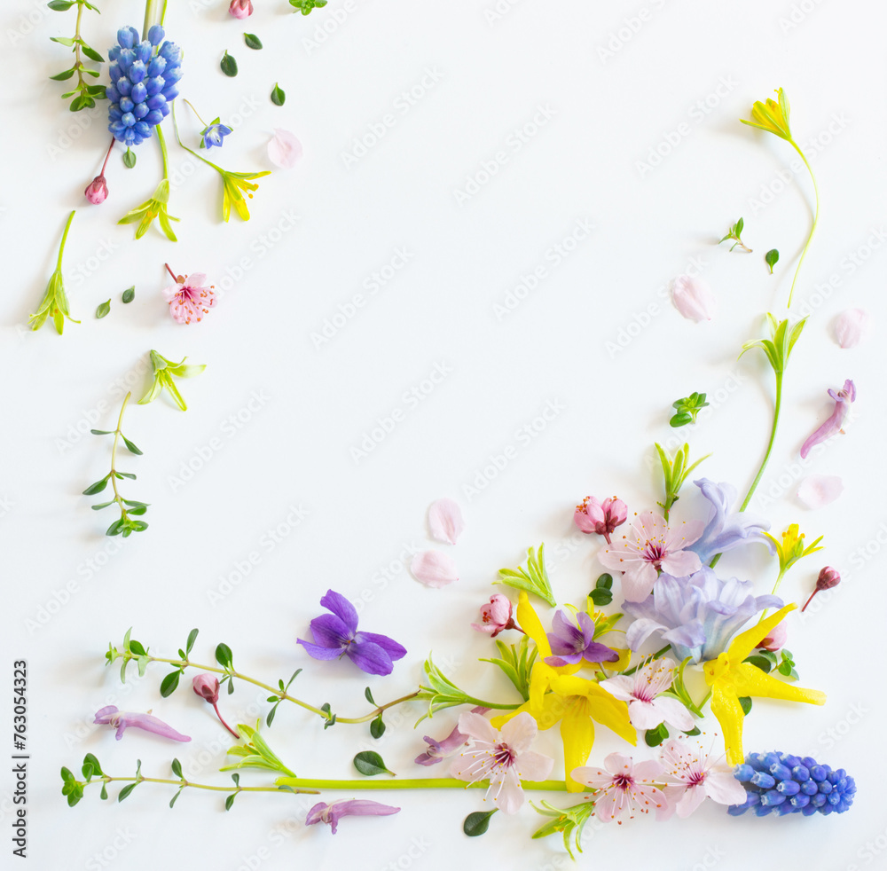 wild spring flowers on white paper background wild spring flowers on white paper background