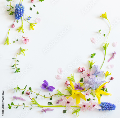 Fototapeta Naklejka Na Ścianę i Meble -  wild spring flowers on white paper background