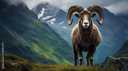 Majestic ram standing proudly in its natural mountain