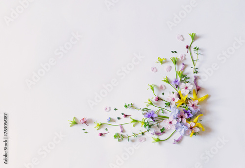 wild spring flowers on white paper background