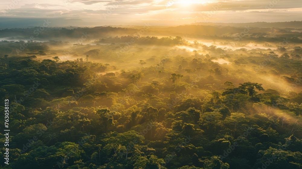 Majestic Amazon Rainforest Landscape at Gorgeous Golden Hour, Aerial Drone View
