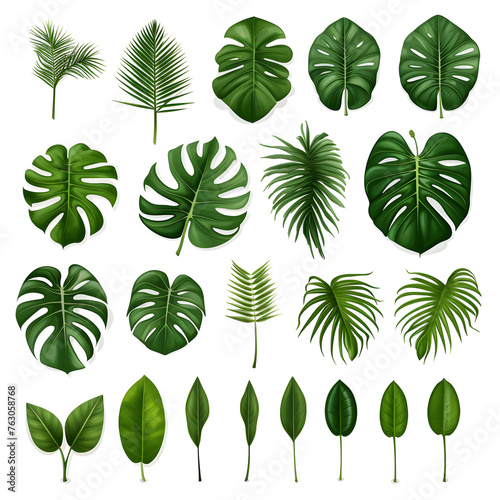 Clipart illustration  collection of green monstera palm and tropical plant leaf on white background. Suitable for crafting and digital design projects. A-0004 