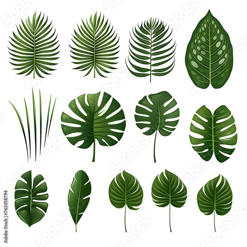 Clipart illustration, collection of green monstera palm and tropical plant leaf on white background. Suitable for crafting and digital design projects.[A-0003]