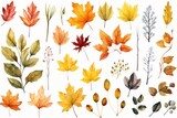 Various colored leaves on a plain white backdrop. Ideal for autumn-themed designs