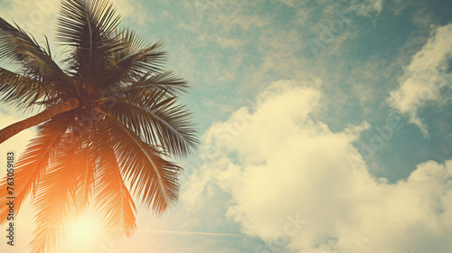 Palm on a background of the sky .. © Cybonix