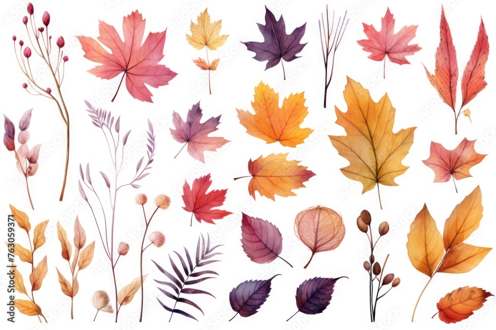 Various colored leaves on a plain white background, suitable for autumn themes
