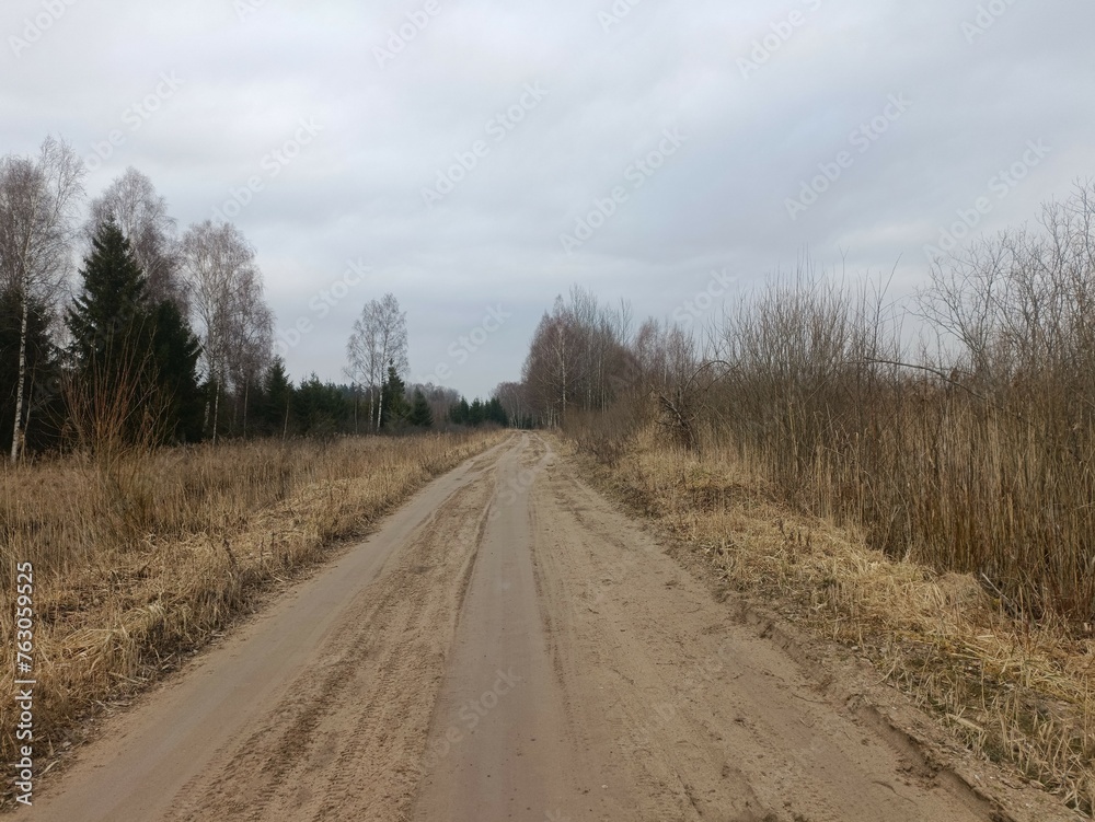 Road in forest in Siauliai county during cloudy early spring day. Oak and birch tree woodland. cloudy day with white clouds in blue sky. Bushes are growing in woods. Sandy road. Nature. Miskas. Road in forest in Siauliai county during cloudy early spring day. Oak and birch tree woodland. cloudy day with white clouds in blue sky. Bushes are growing in woods. Sandy road. Nature. Miskas.