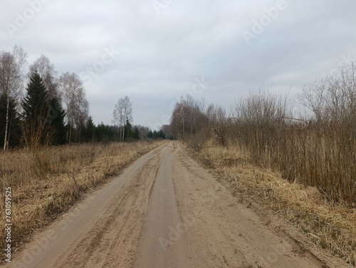 Road in forest in Siauliai county during cloudy early spring day. Oak and birch tree woodland. cloudy day with white clouds in blue sky. Bushes are growing in woods. Sandy road. Nature. Miskas. 