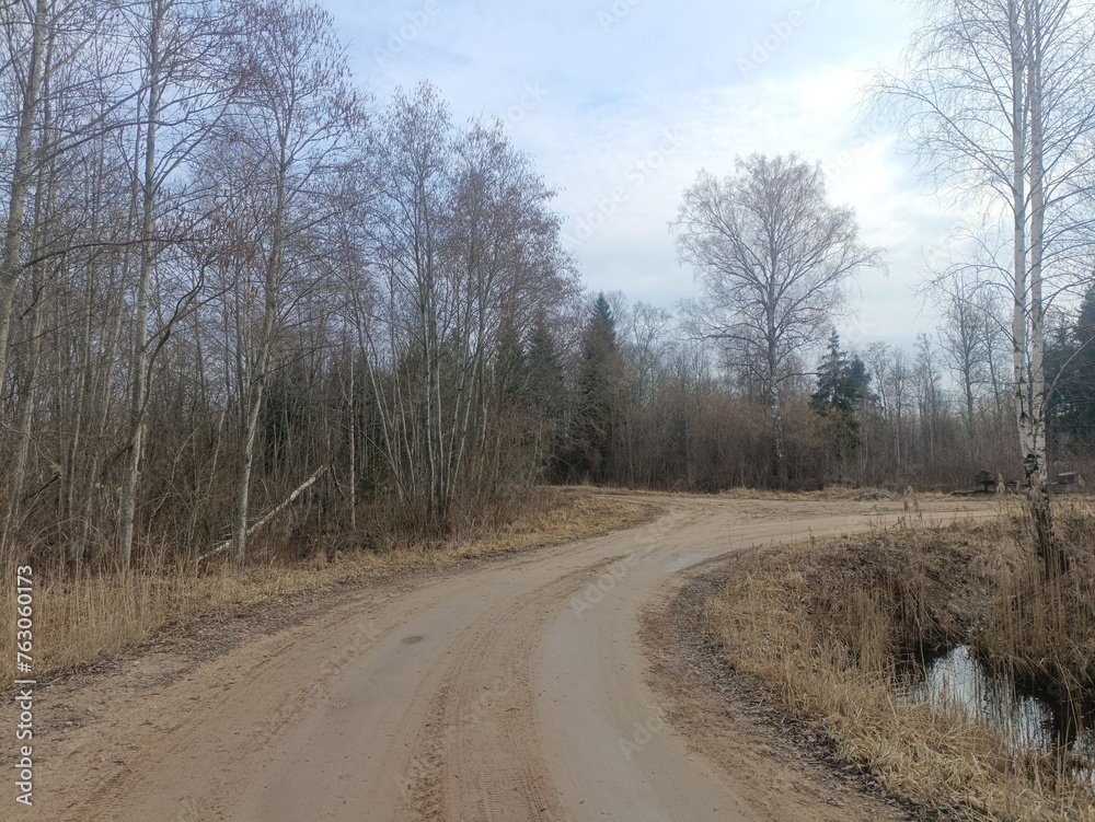 Road in forest in Siauliai county during cloudy early spring day. Oak and birch tree woodland. cloudy day with white clouds in blue sky. Bushes are growing in woods. Sandy road. Nature. Miskas. Road in forest in Siauliai county during cloudy early spring day. Oak and birch tree woodland. cloudy day with white clouds in blue sky. Bushes are growing in woods. Sandy road. Nature. Miskas.